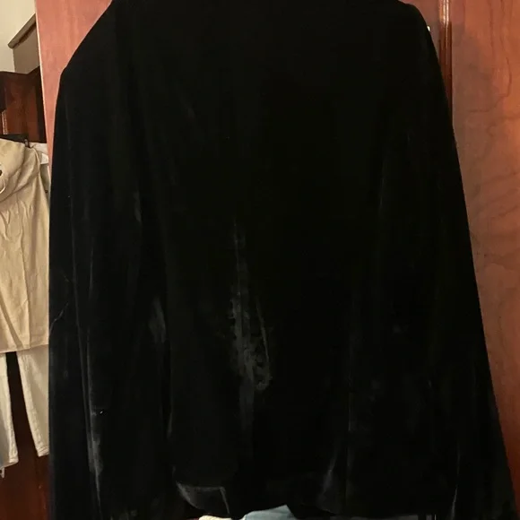 Rachel Zoe Velvet Blazer with Gold Buttons - Picture 3 of 5